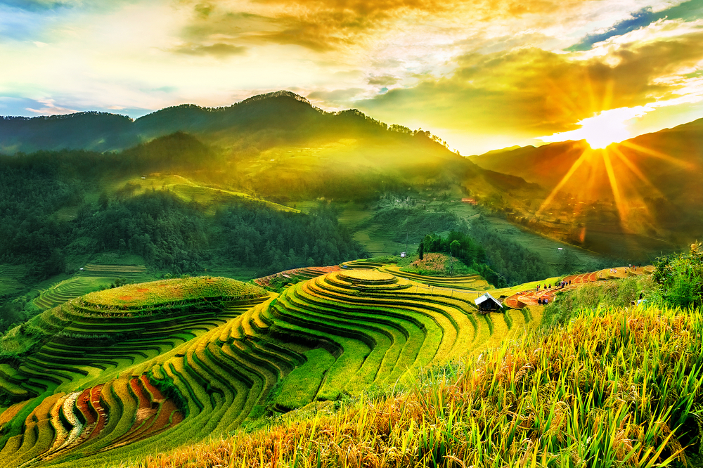 Vietnam Shines Bright: Second Place Among Top Asian New Year Destinations in 2024
