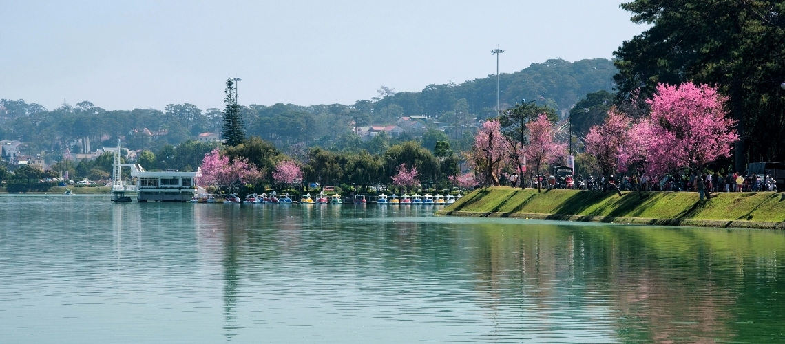 Da Lat: Best Flower and Garden Festival 2024