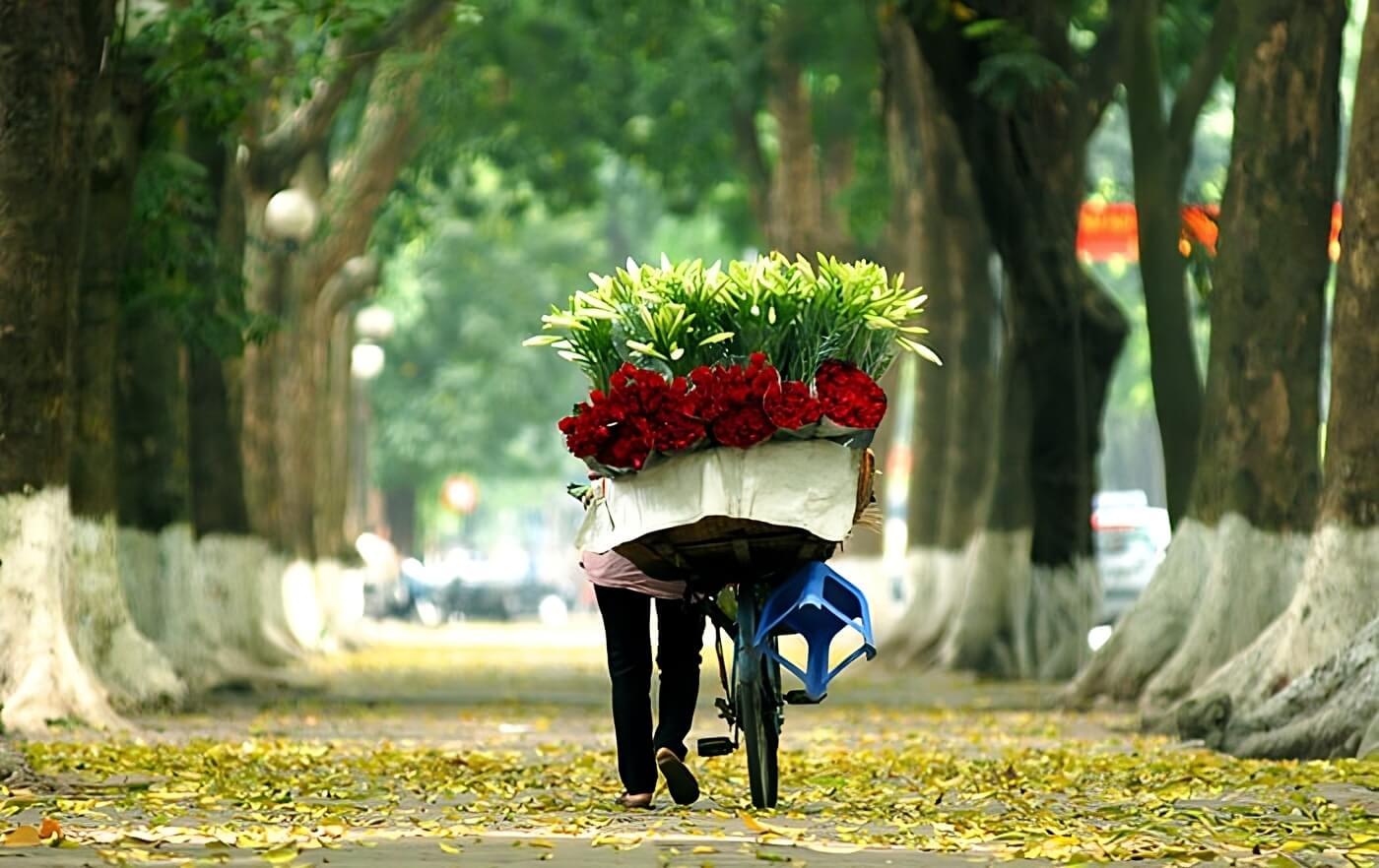 Hanoi and Ho Chi Minh City: Among Top 100 Cities Globally