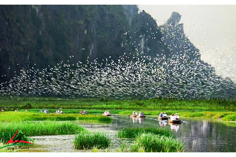 How Many Days Should You Spend in Ninh Binh? Choosing the Perfect Pace for Your Journey How Many Days Should You Spend in Ninh Binh? Choosing the Perfect Pace for Your Journey