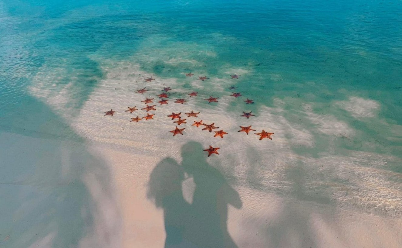 Mui Ham Rong Cape, Phu Quoc – A Complete Travel Guide to the Kingdom of Starfish.