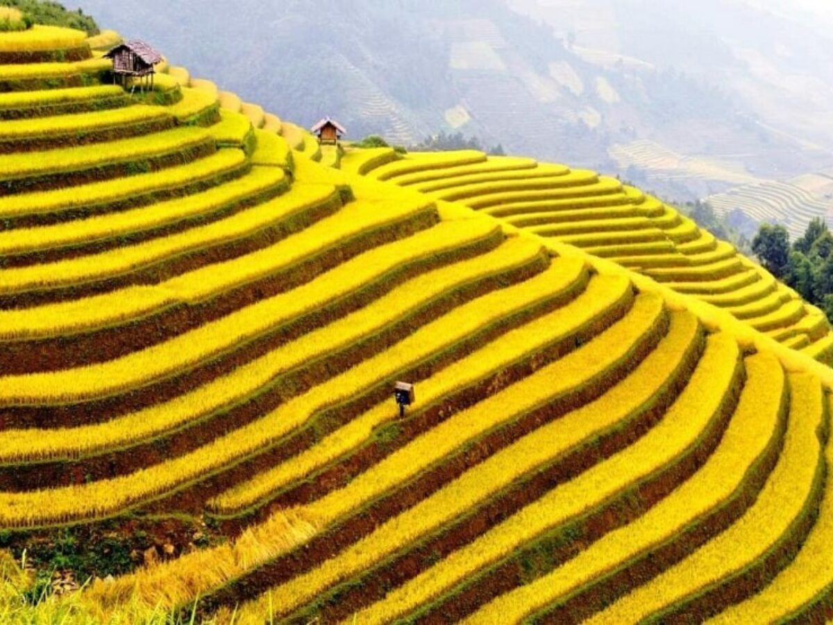 Y Ty Travel Guide 2026: Explore the Remote Mountains of Lao Cai